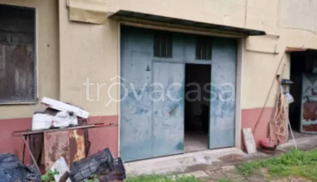 immagine annuncio 10 di 12