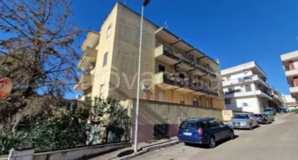 immagine annuncio 2 di 12