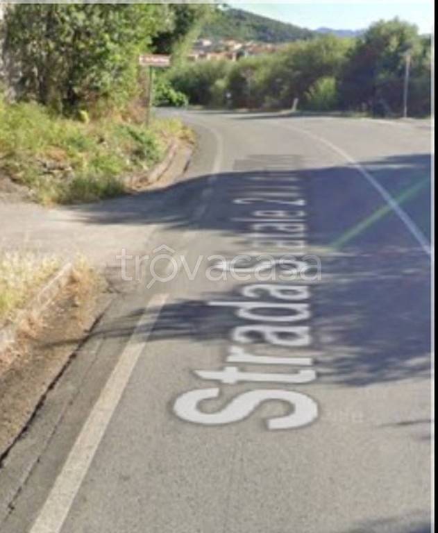 immagine annuncio 3 di 12