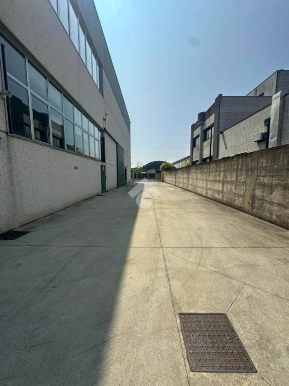 immagine annuncio 9 di 15