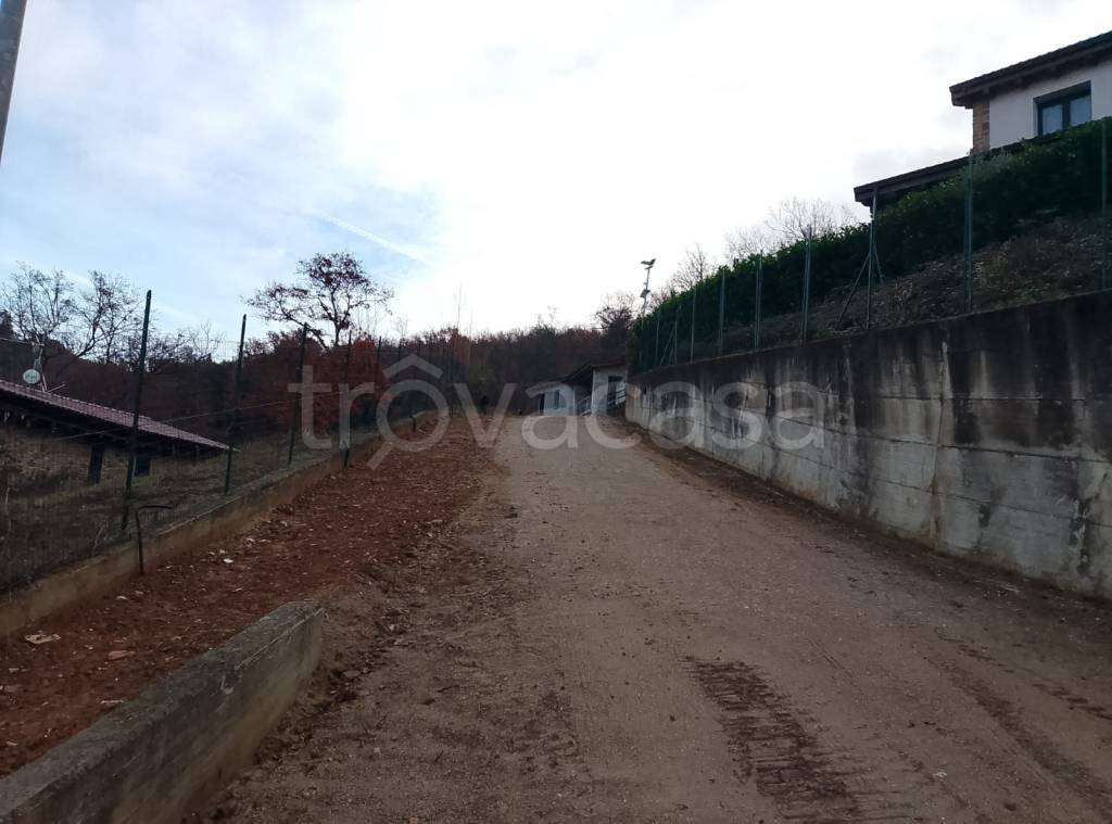 immagine annuncio 11 di 13