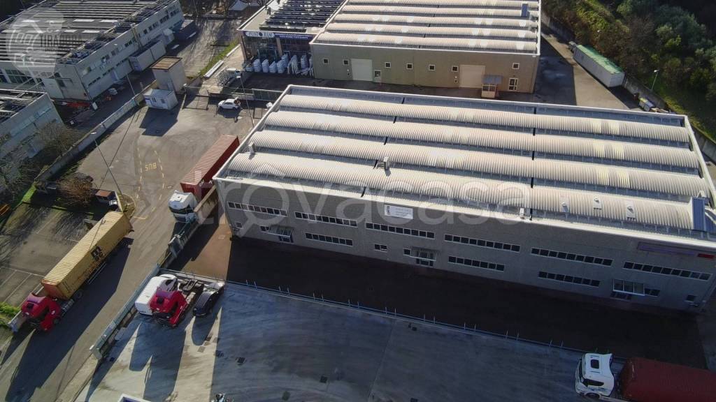 immagine annuncio 6 di 9