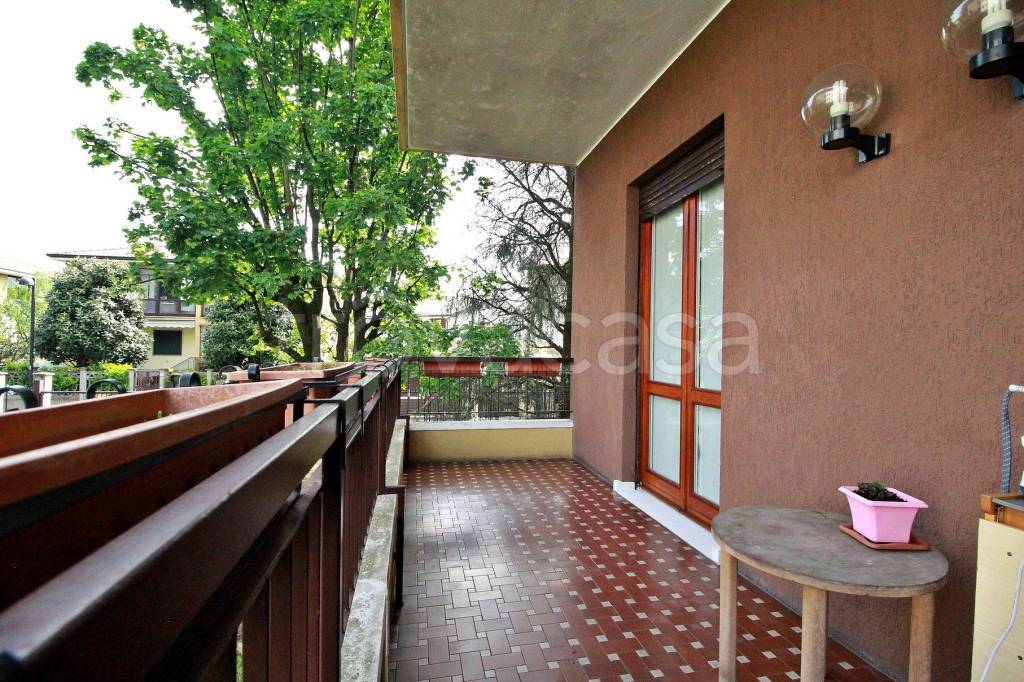 immagine annuncio 5 di 15