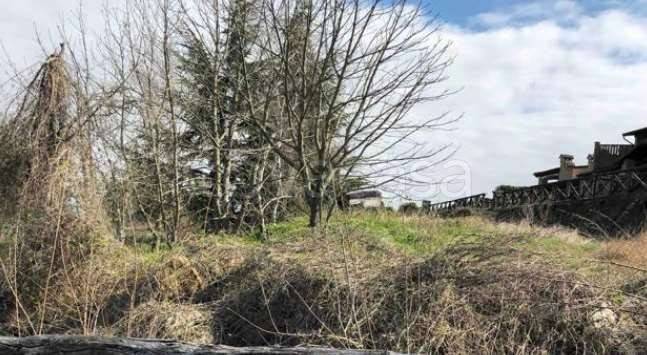 immagine annuncio 2 di 11