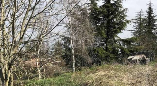 immagine annuncio 4 di 11