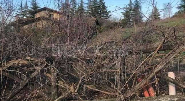 immagine annuncio 5 di 11