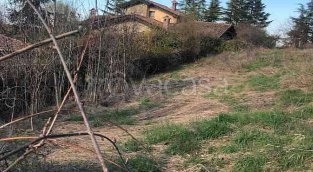 immagine annuncio 6 di 11