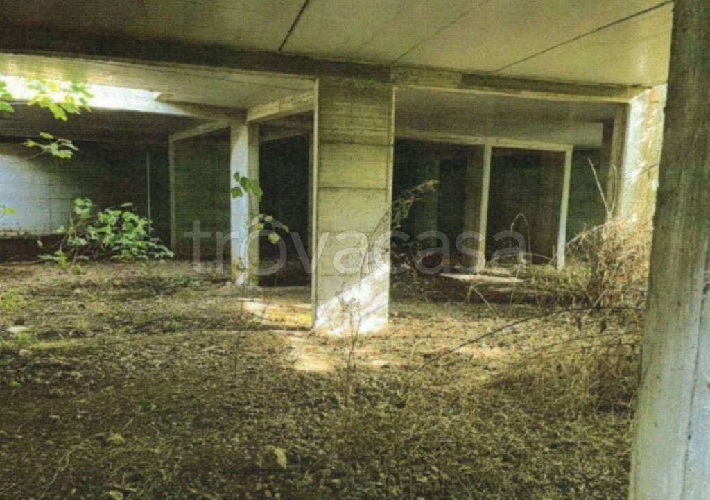 immagine annuncio 9 di 13