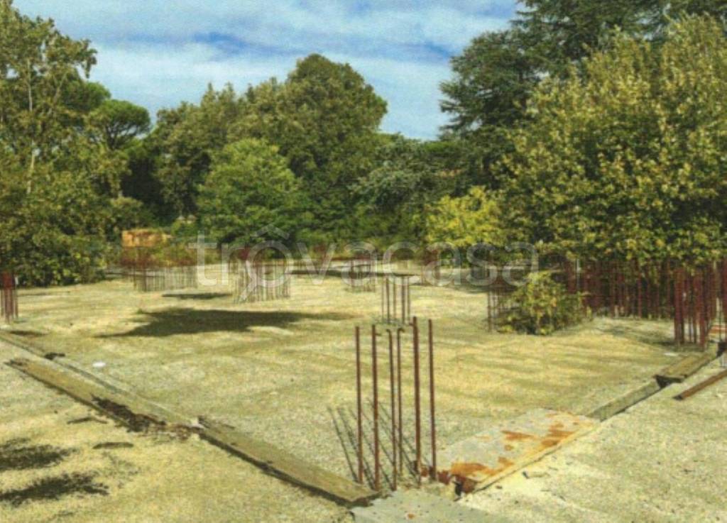 immagine annuncio 12 di 13