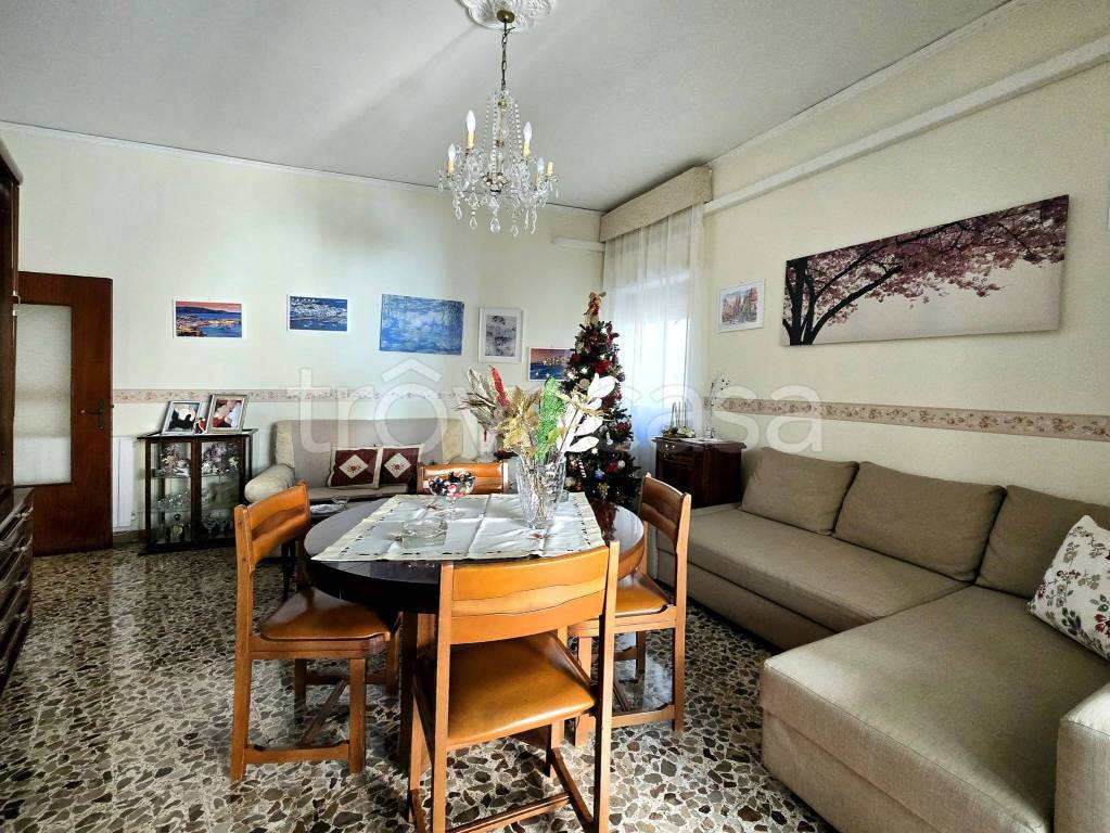 immagine annuncio 4 di 14