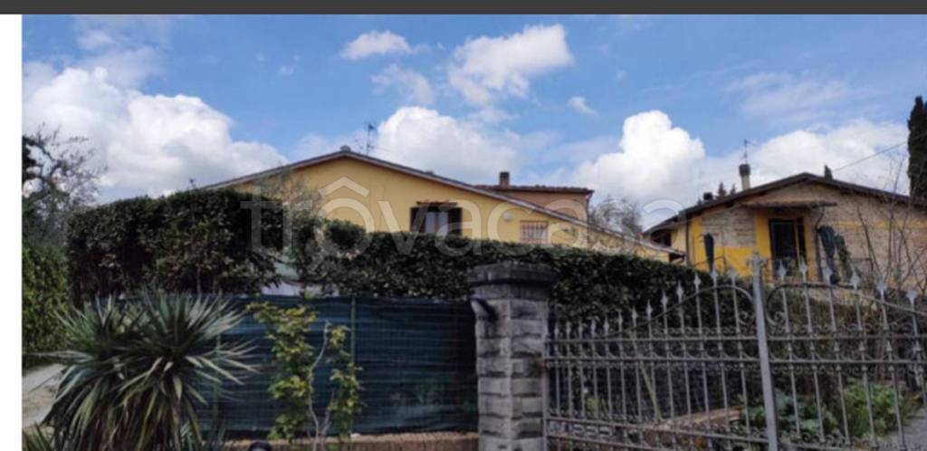 immagine annuncio 5 di 11