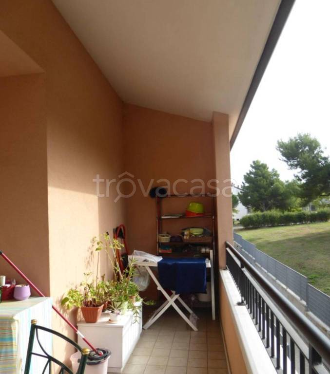 immagine annuncio 10 di 12