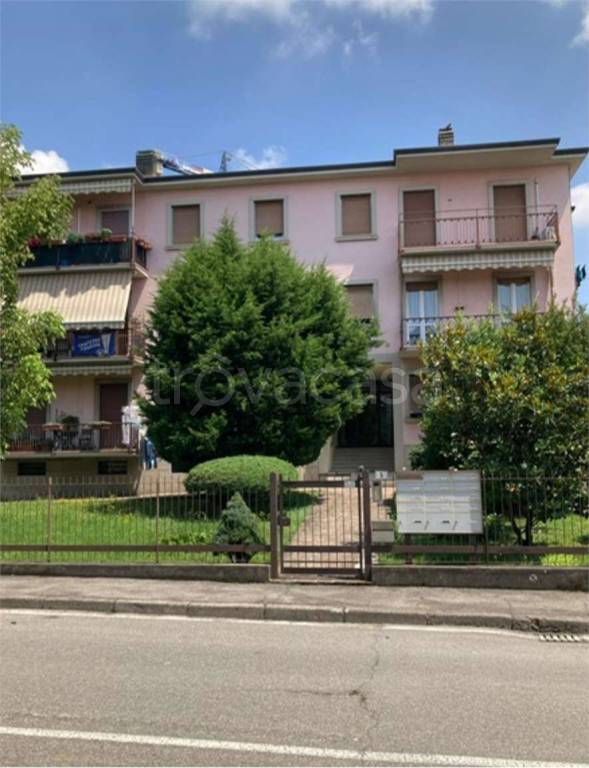 immagine annuncio 8 di 12