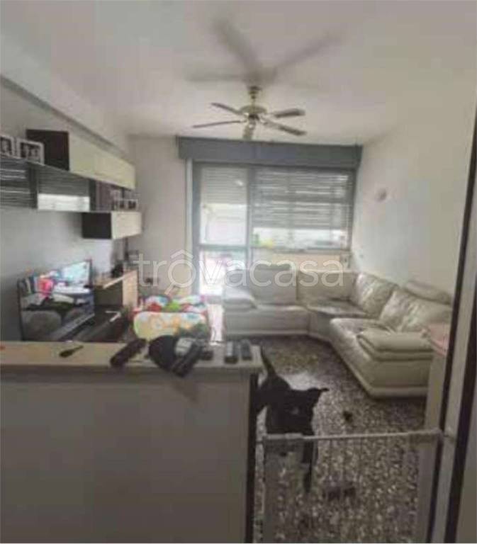 immagine annuncio 8 di 14