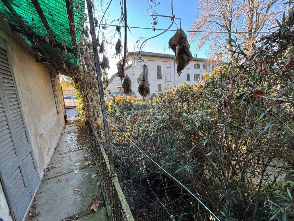 immagine annuncio 5 di 15