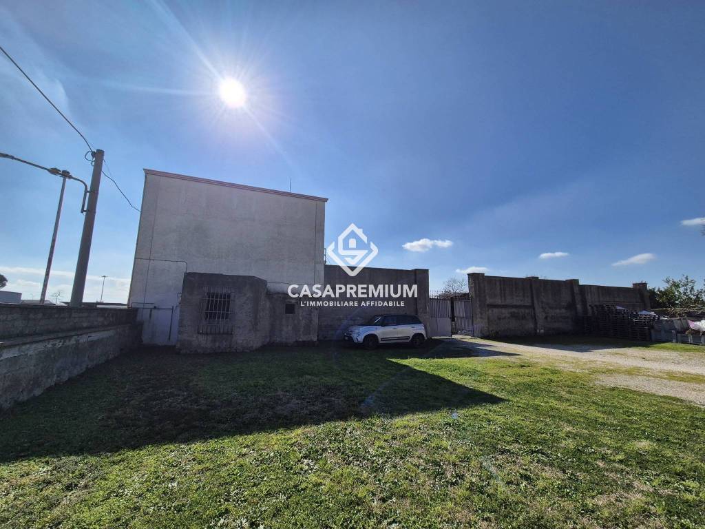 immagine annuncio 6 di 12