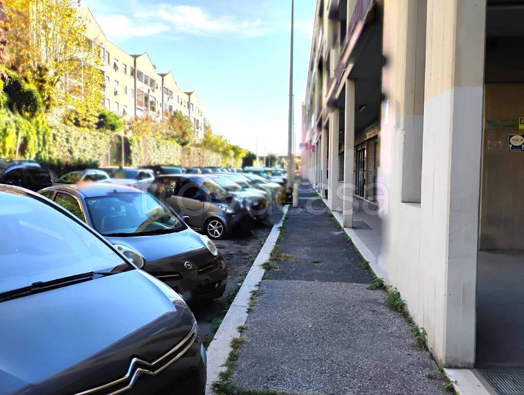 immagine annuncio 2 di 8