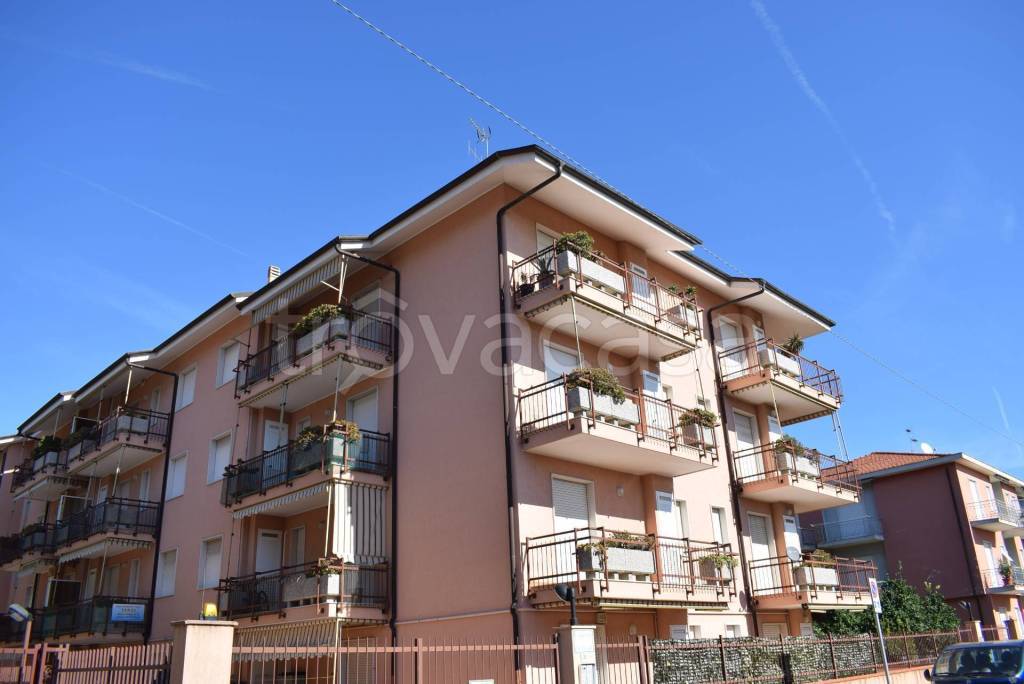 immagine annuncio 12 di 15