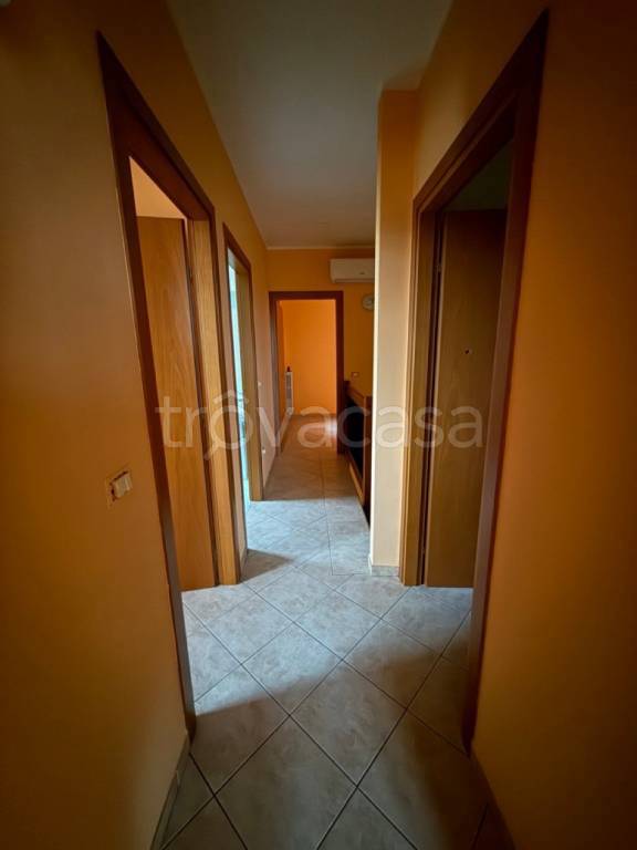 immagine annuncio 6 di 12