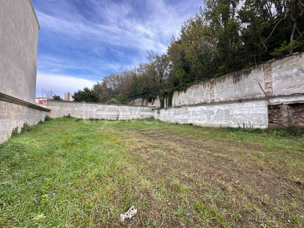 immagine annuncio 10 di 11