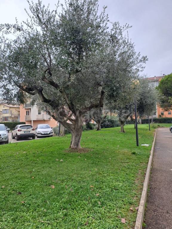 immagine annuncio 2 di 11