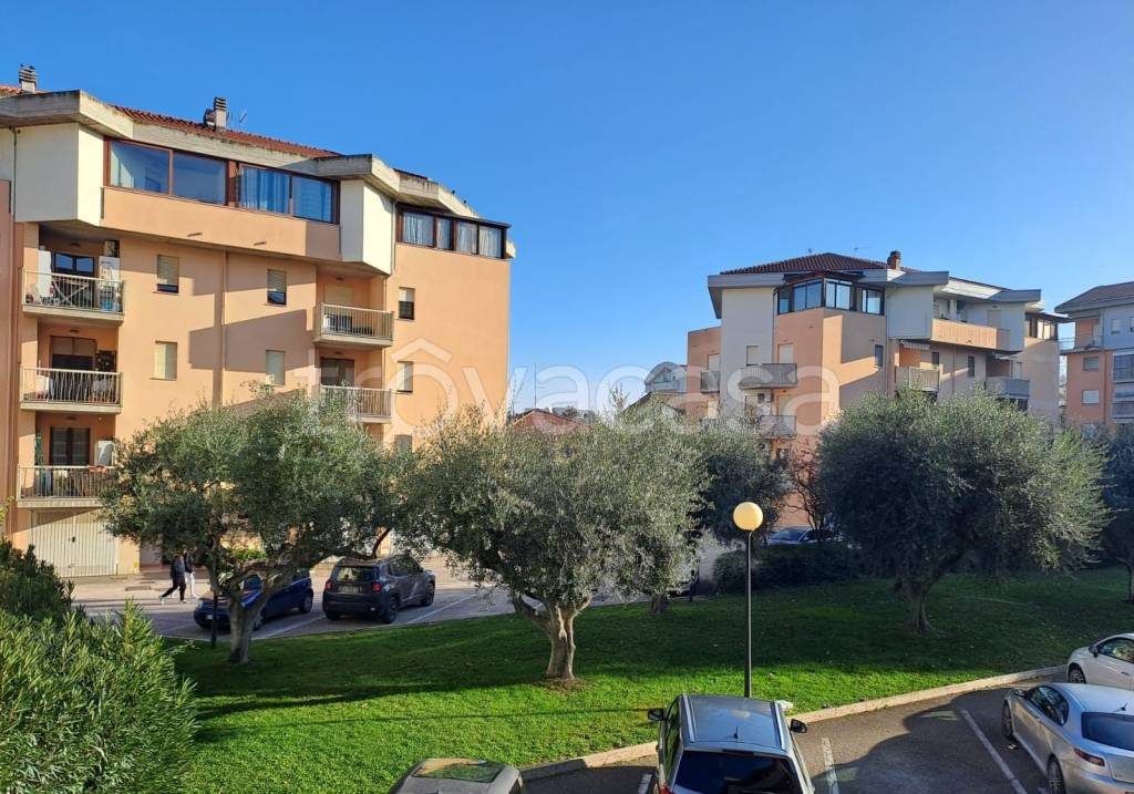 immagine annuncio 3 di 11