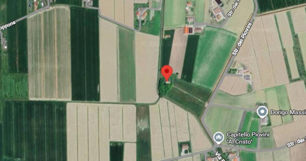 immagine annuncio 3 di 13