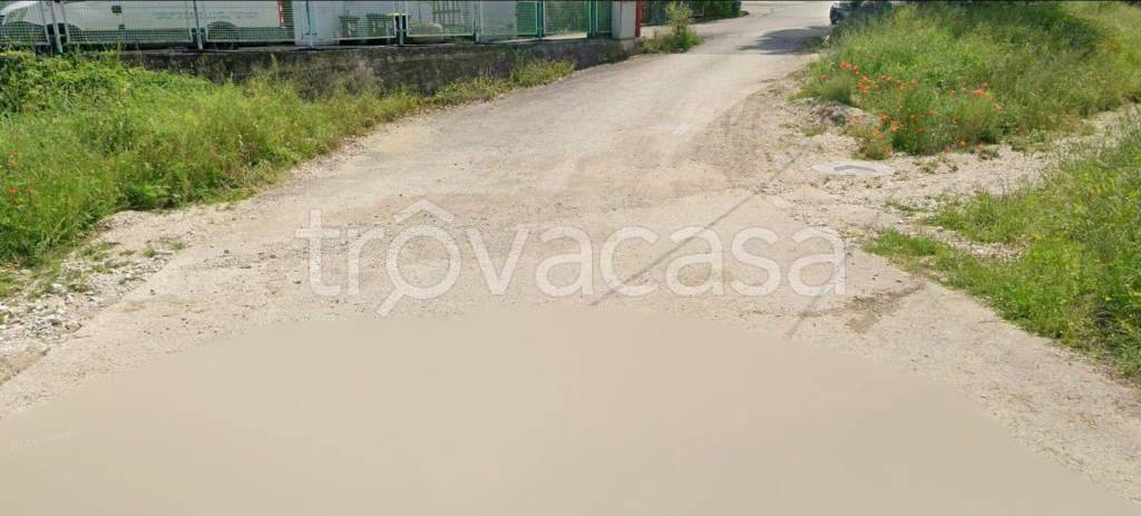 immagine annuncio 10 di 13