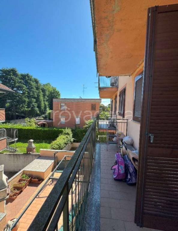 immagine annuncio 1 di 14