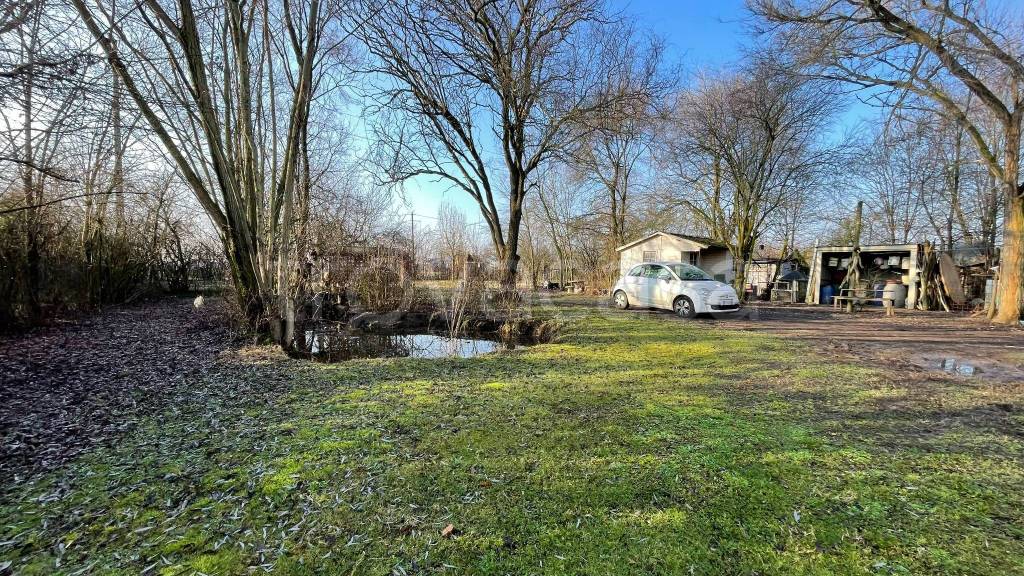 immagine annuncio 3 di 14