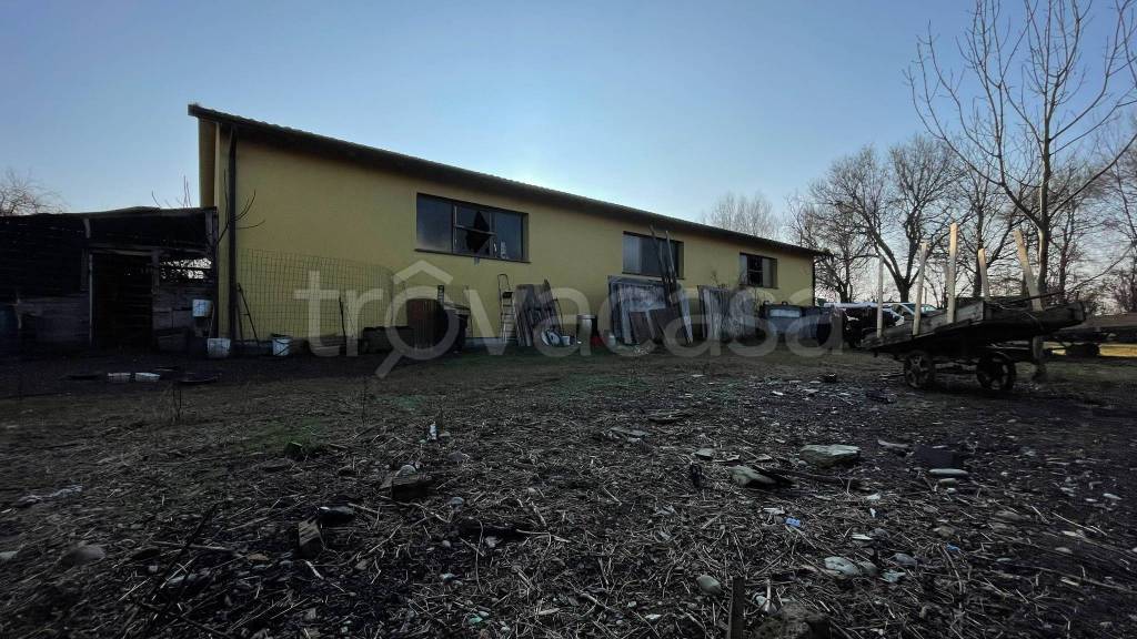 immagine annuncio 6 di 14