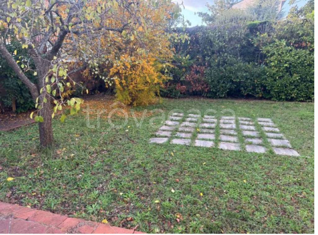 immagine annuncio 5 di 12