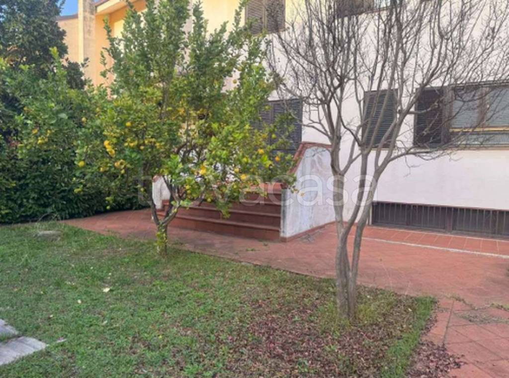 immagine annuncio 7 di 12