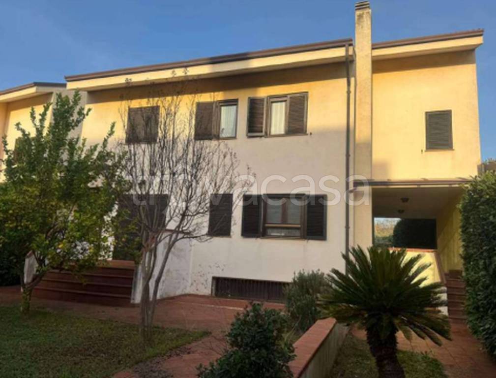 immagine annuncio 9 di 12