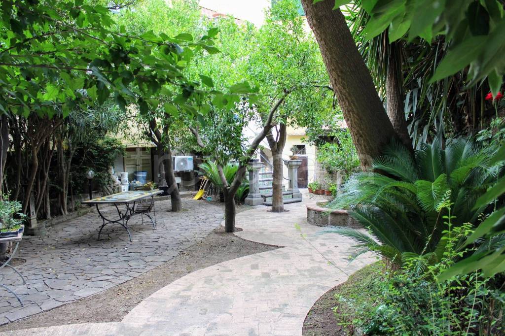 immagine annuncio 9 di 13