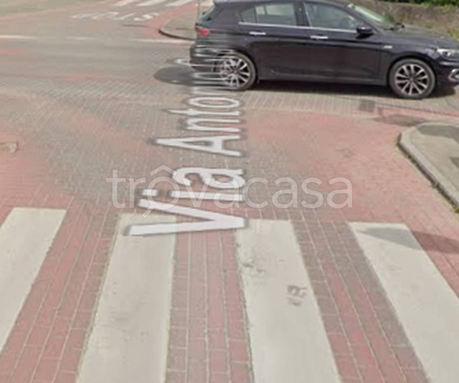 immagine annuncio 9 di 11