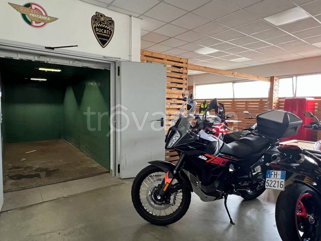 immagine annuncio 10 di 15