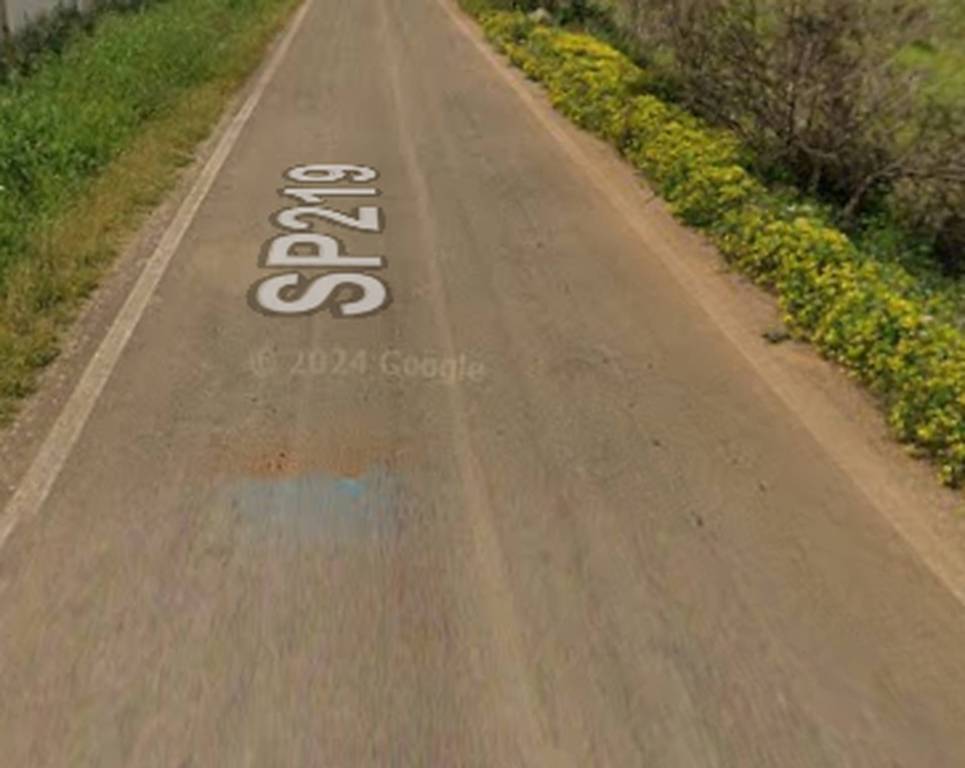 immagine annuncio 4 di 11