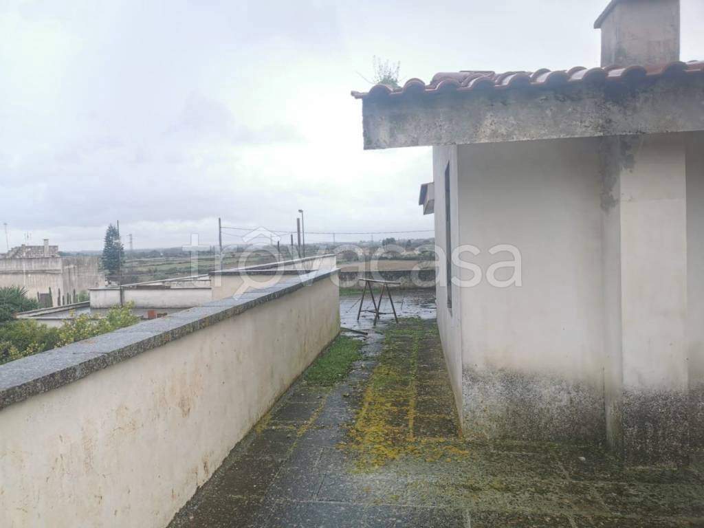 immagine annuncio 5 di 11