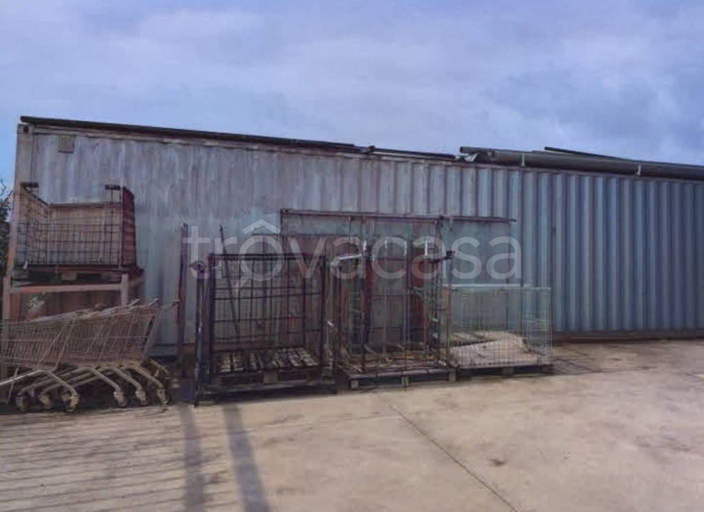 immagine annuncio 3 di 13