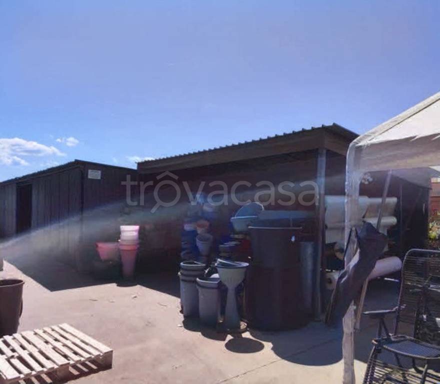 immagine annuncio 4 di 13