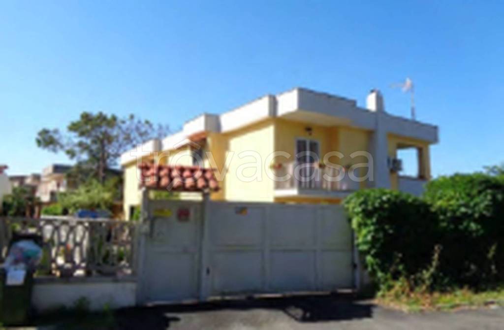 immagine annuncio 5 di 11