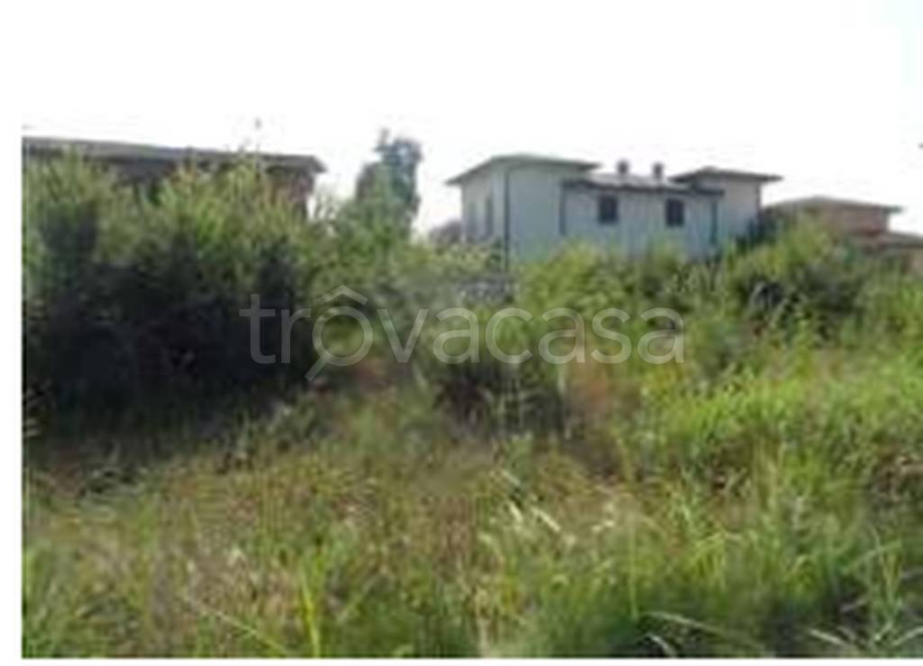 immagine annuncio 5 di 11