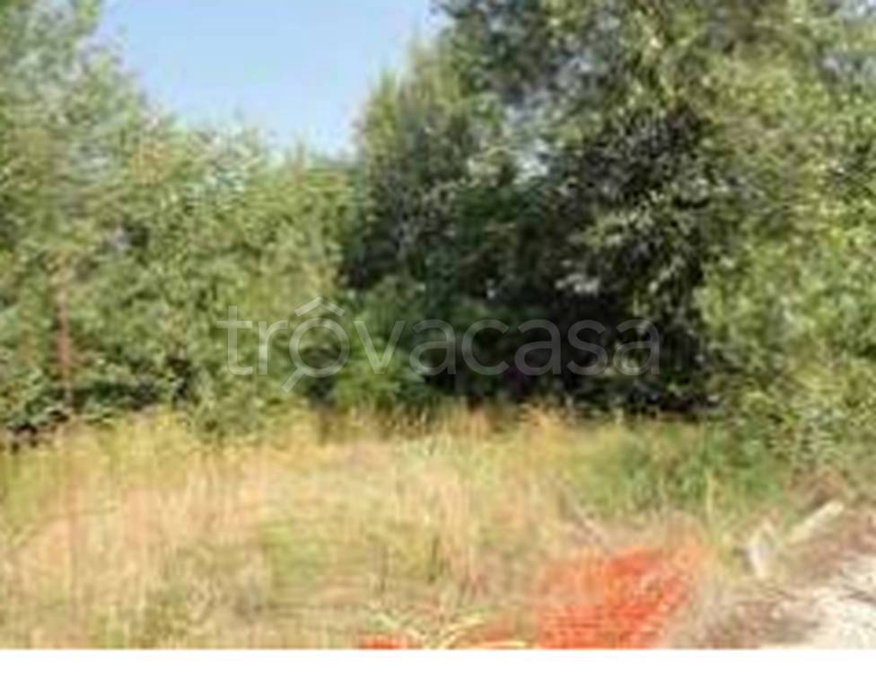 immagine annuncio 6 di 11