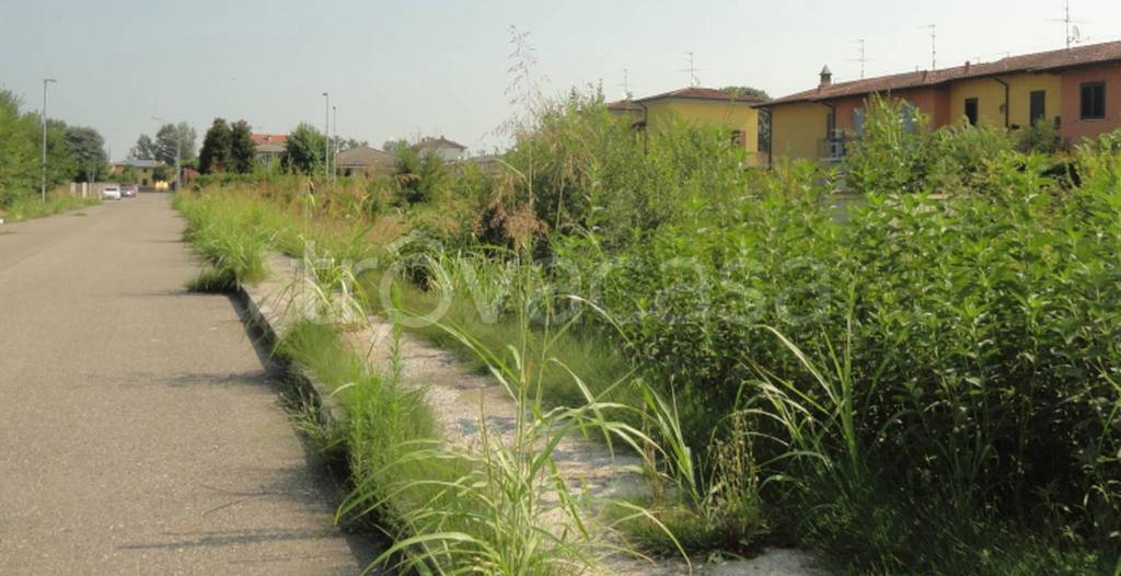 immagine annuncio 10 di 11