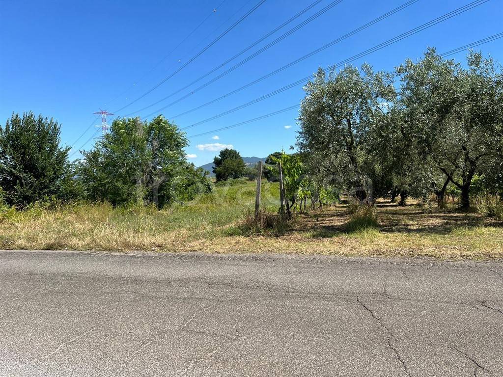 immagine annuncio 1 di 3