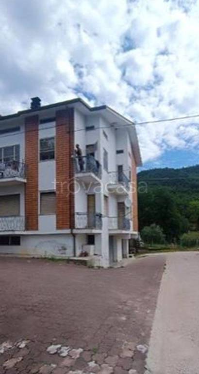 immagine annuncio 3 di 12