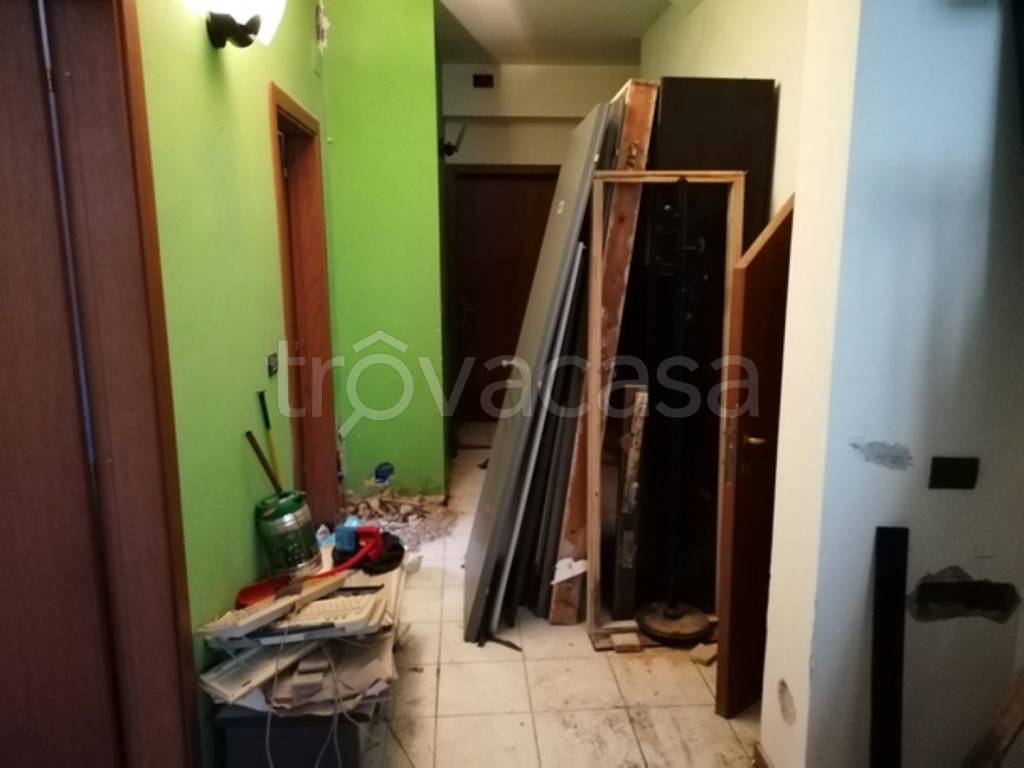 immagine annuncio 2 di 12