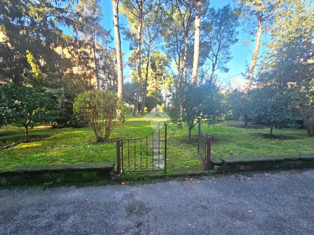 immagine annuncio 4 di 12