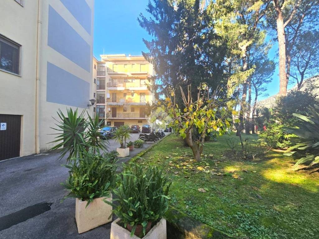 immagine annuncio 5 di 12